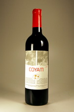 Вино Coyam насыщенное